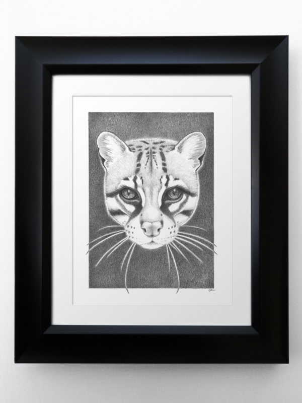 Ocelot with Matte and Frame